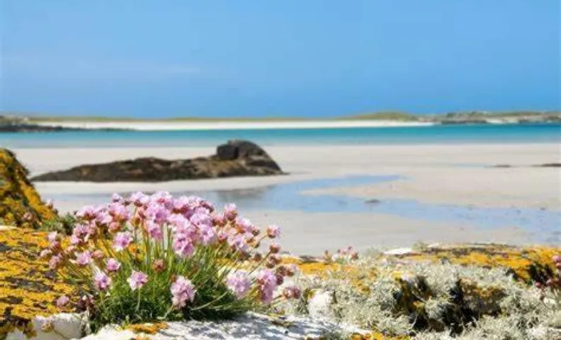 Wild Atlantic Stay Guest House Self-Catering