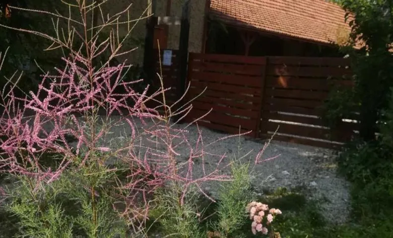 Ruralna kuća za odmor Pozojova hiža - Rural Holiday House