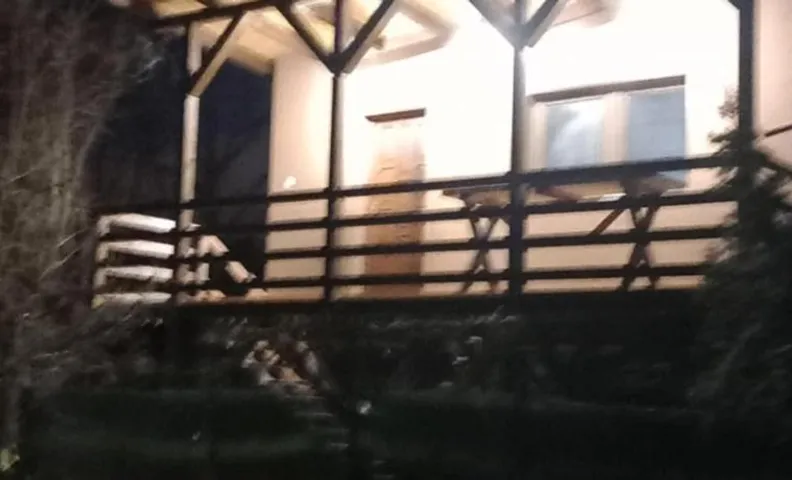 Madárles