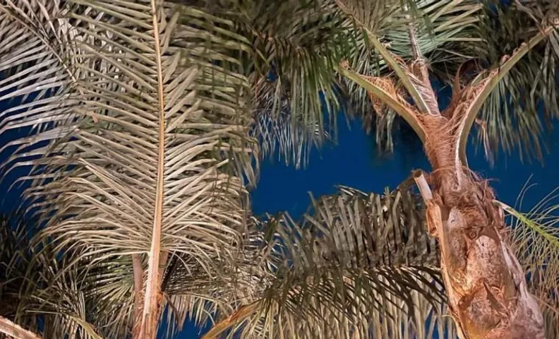 Luxury B&B Villa Tauro