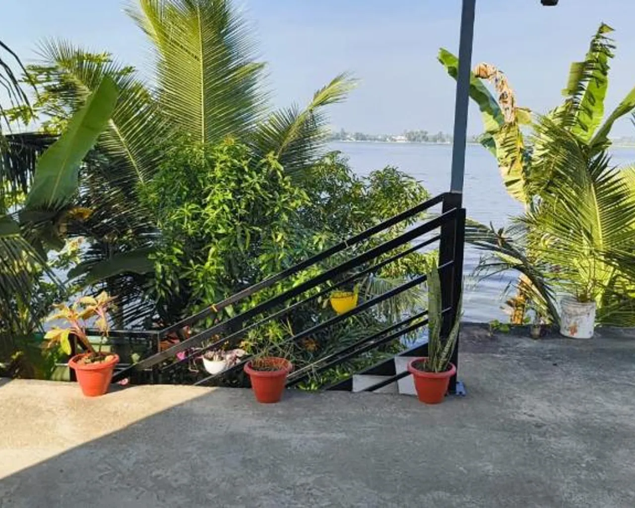 주변 환경
