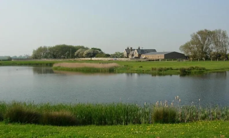 Point Farm