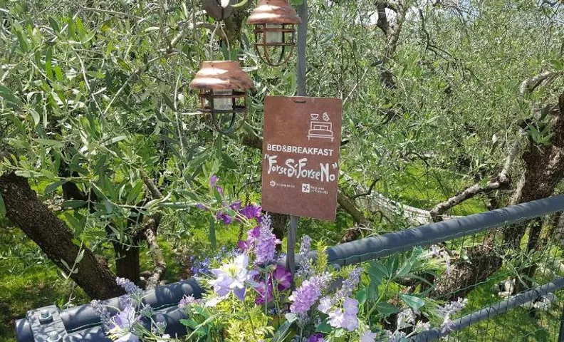 B&B ForseSiForseNo