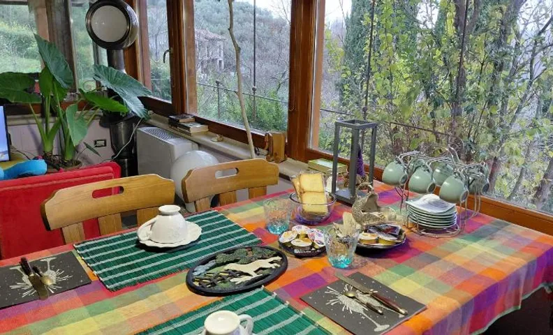Elisa's house