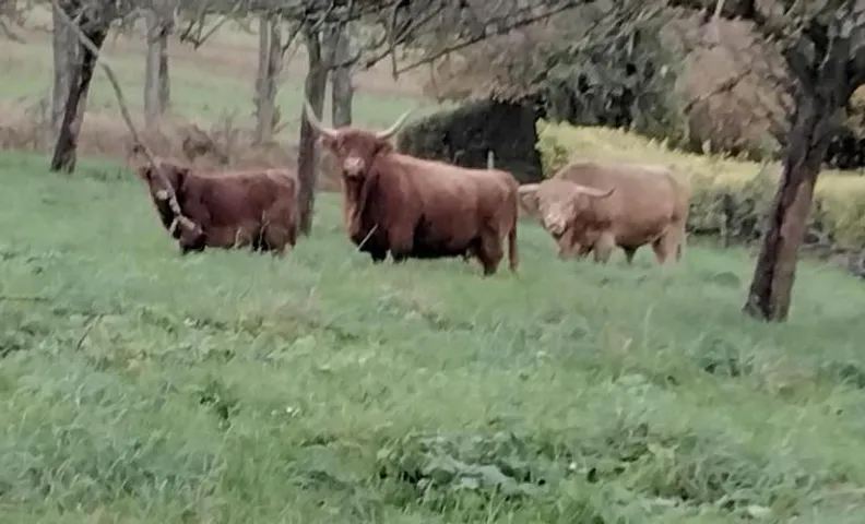 séjour familial la campagne