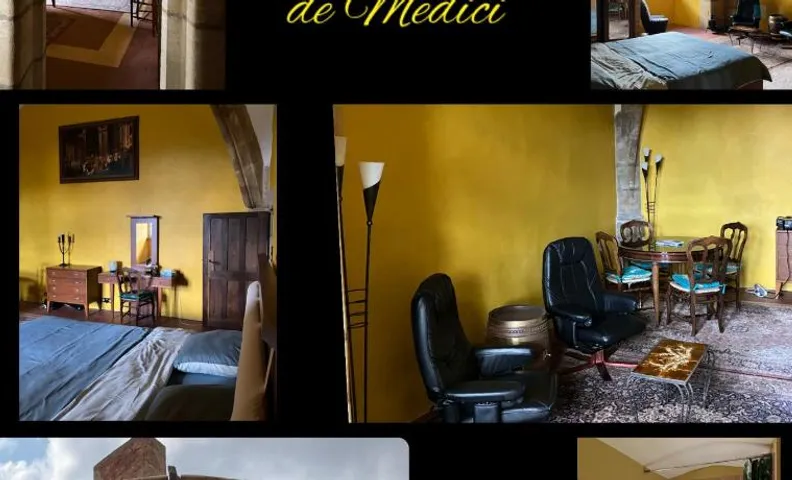 Chateau d Albon - Catherine de Medicis