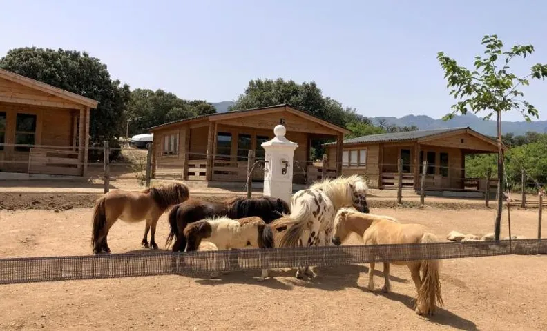 Les Chalets De Tesa 3