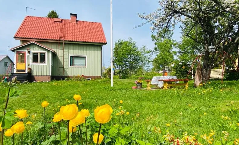 Toivola , Joroinen