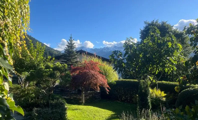 Bed and Breakfast Il Cardellino