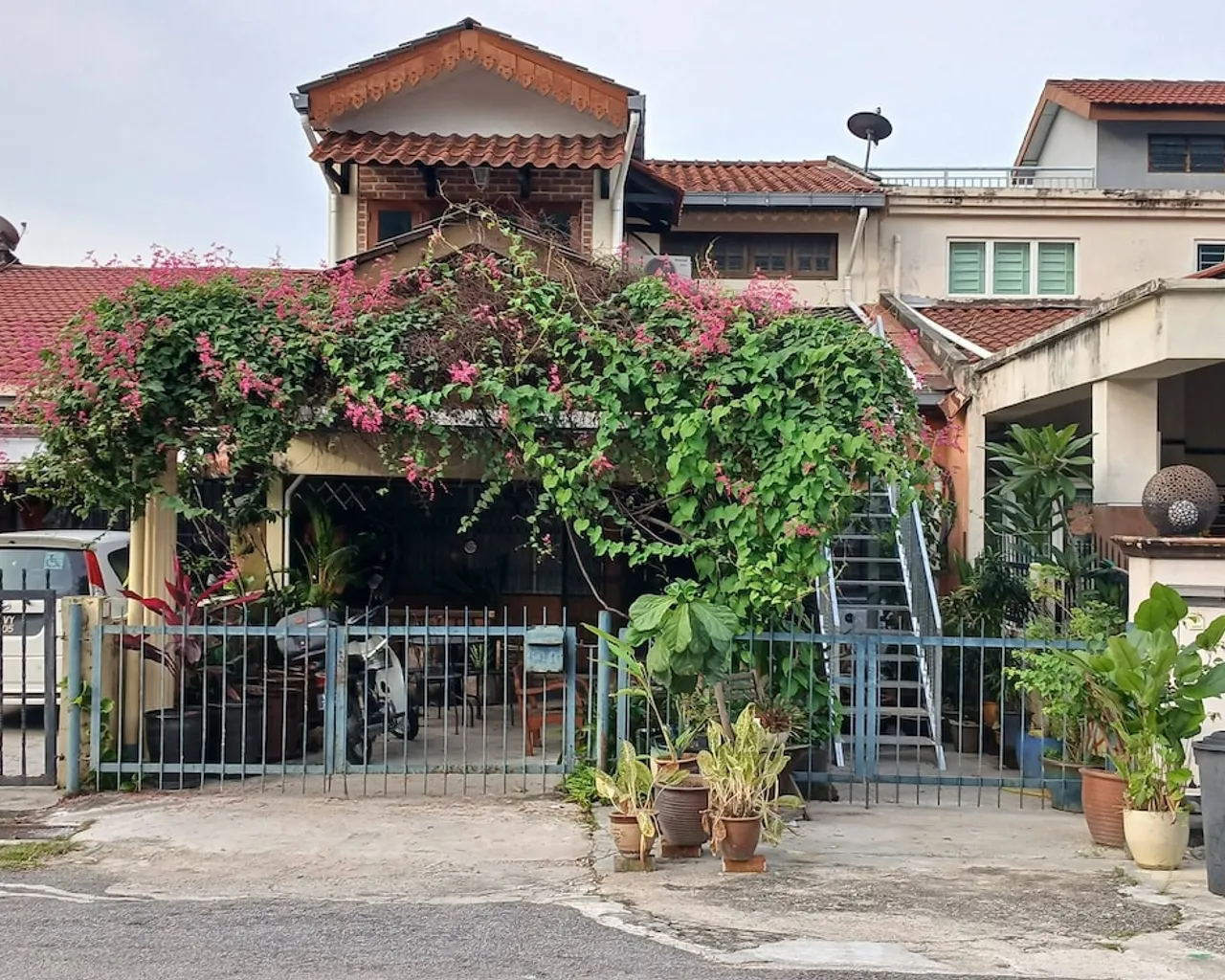 기본 이미지