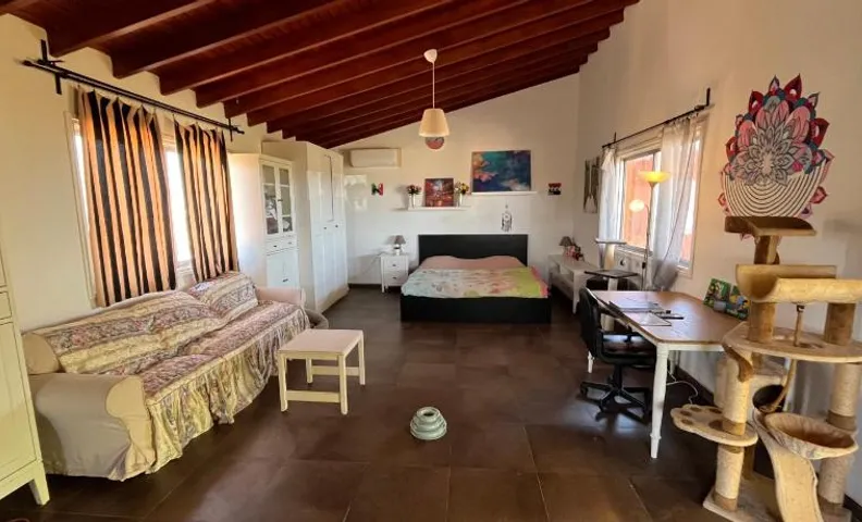 Digital Detox with 100 Animals Nature Stay