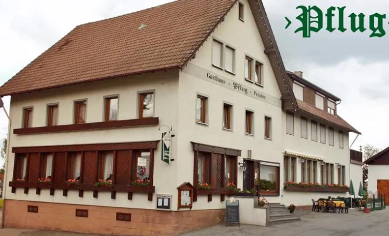 Gasthaus Pflug