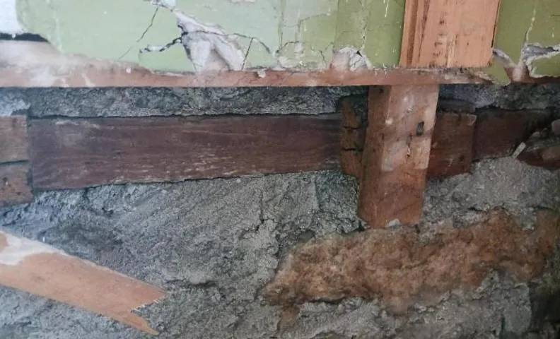 Стая и поле с градина