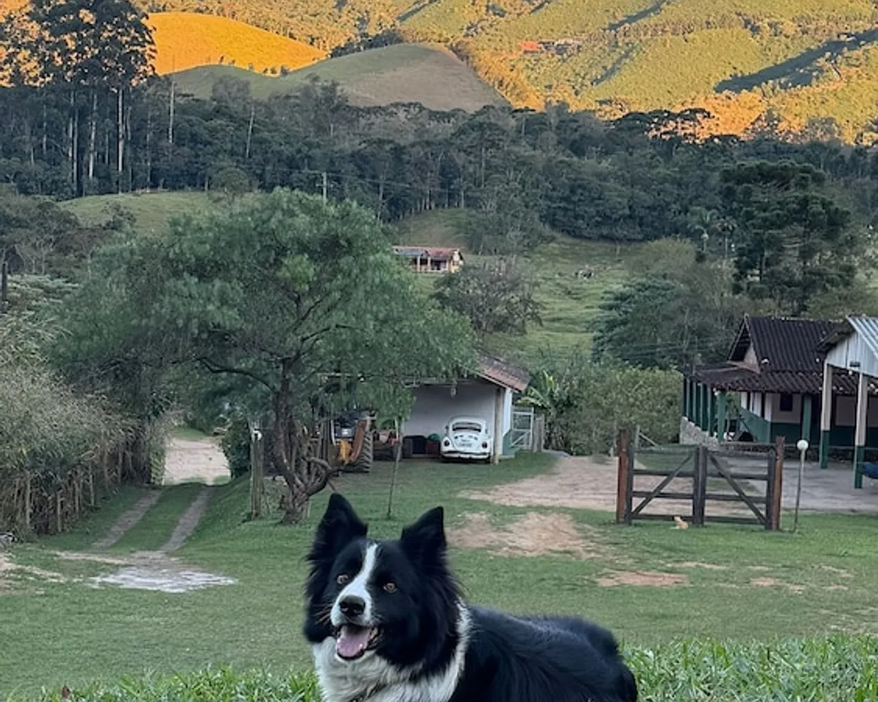 숙소 주변