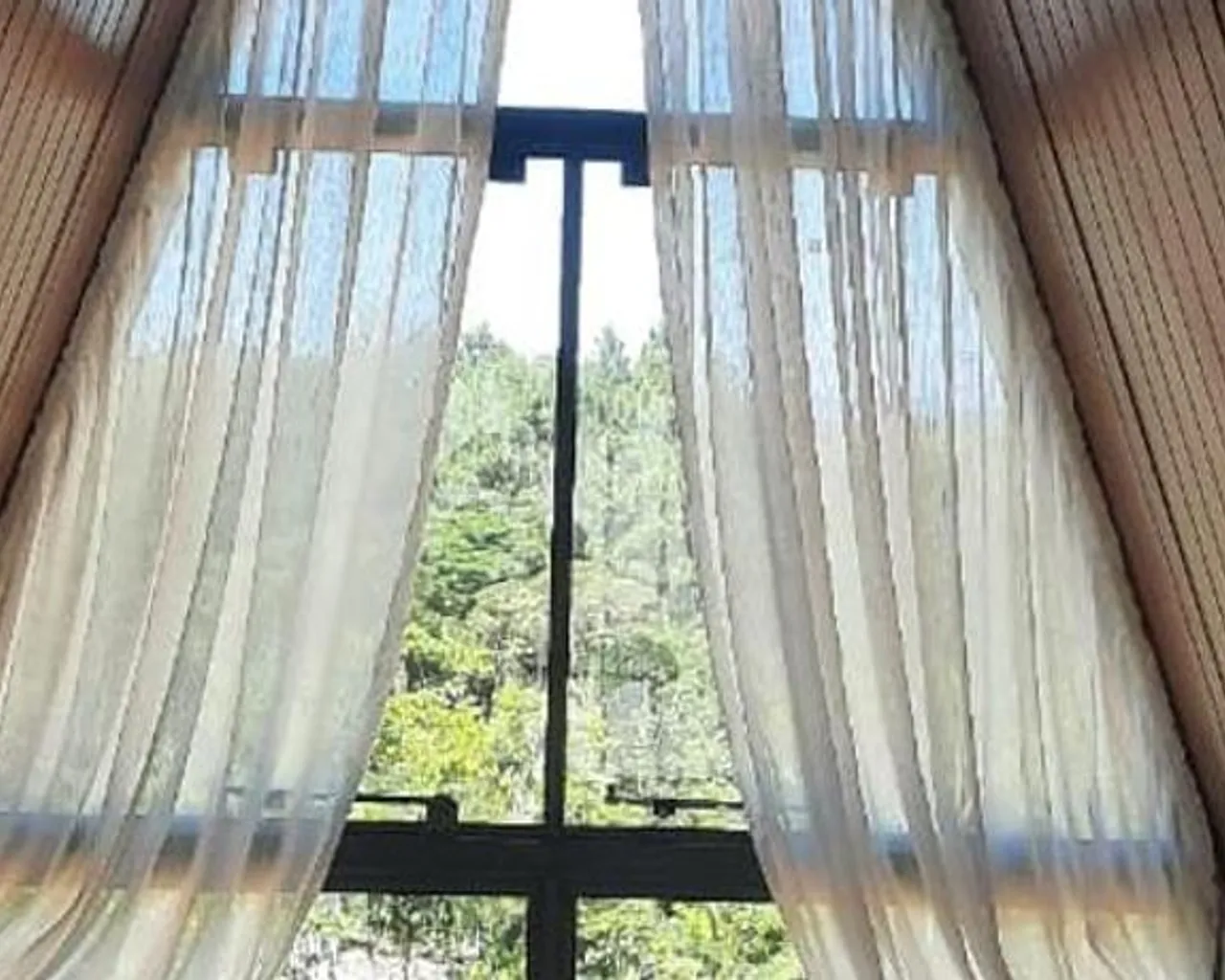 스파