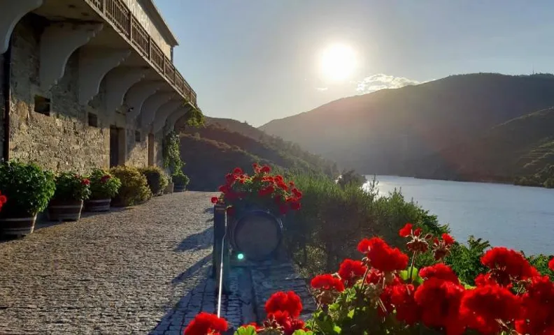 Quinta do Tedo