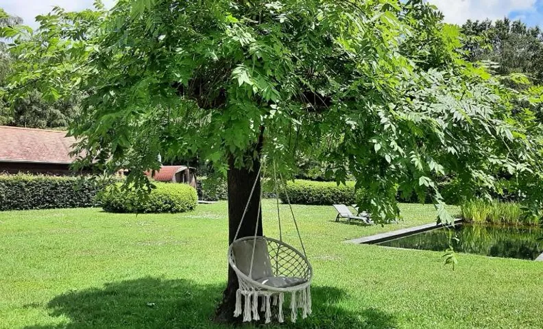 B&B De Levensboom