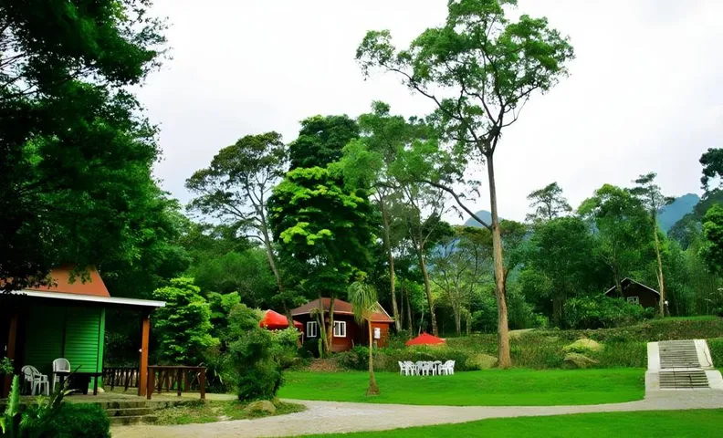 Hemerocallis Country House - Xuancao Forest Homestay
