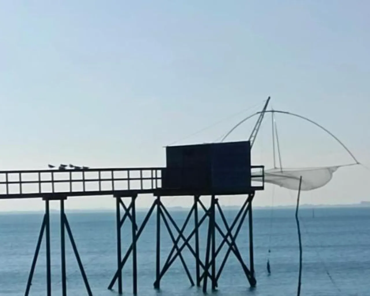주변 환경