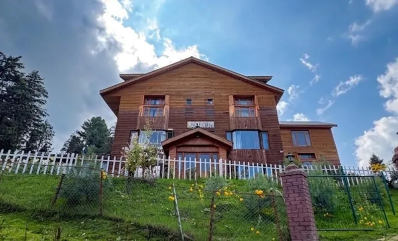 Pine Palace Platinum