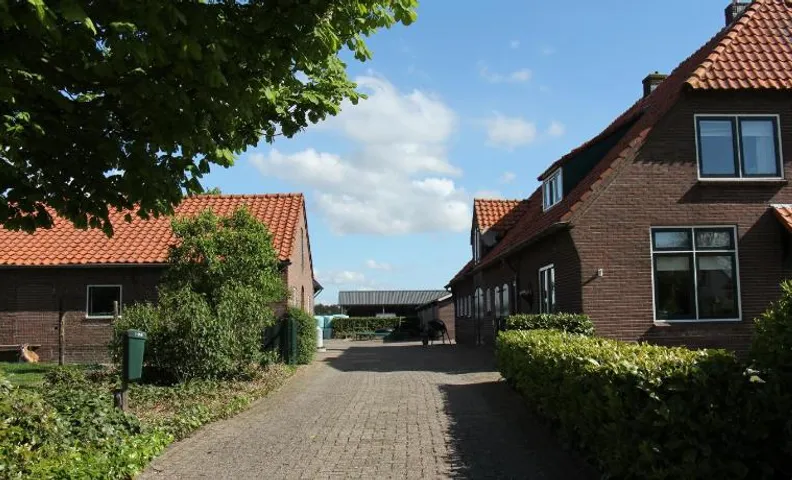 Hofstay195