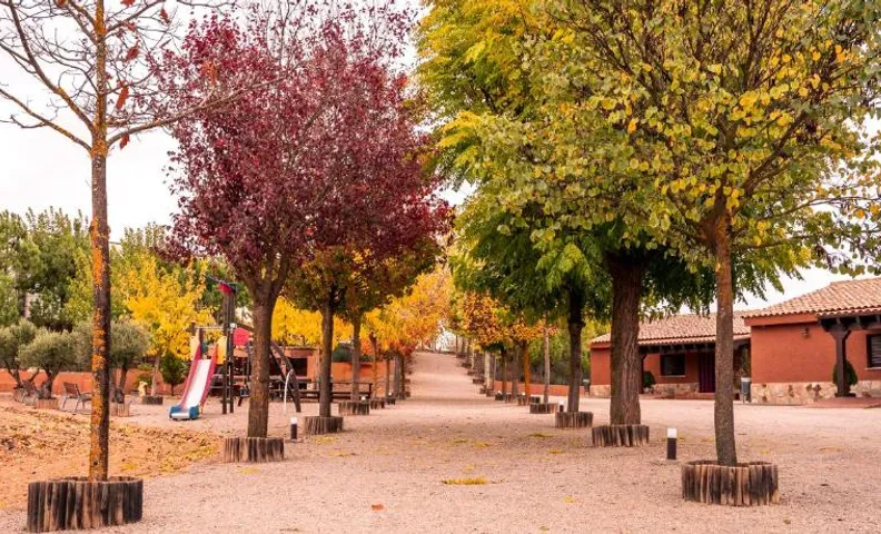 Bodega Andrés Iniesta con visita y cata
