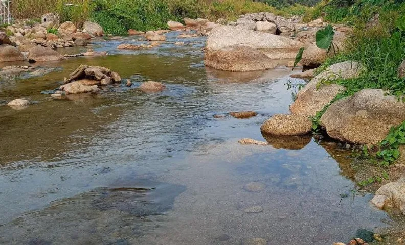 Baansuan Patooy Camping