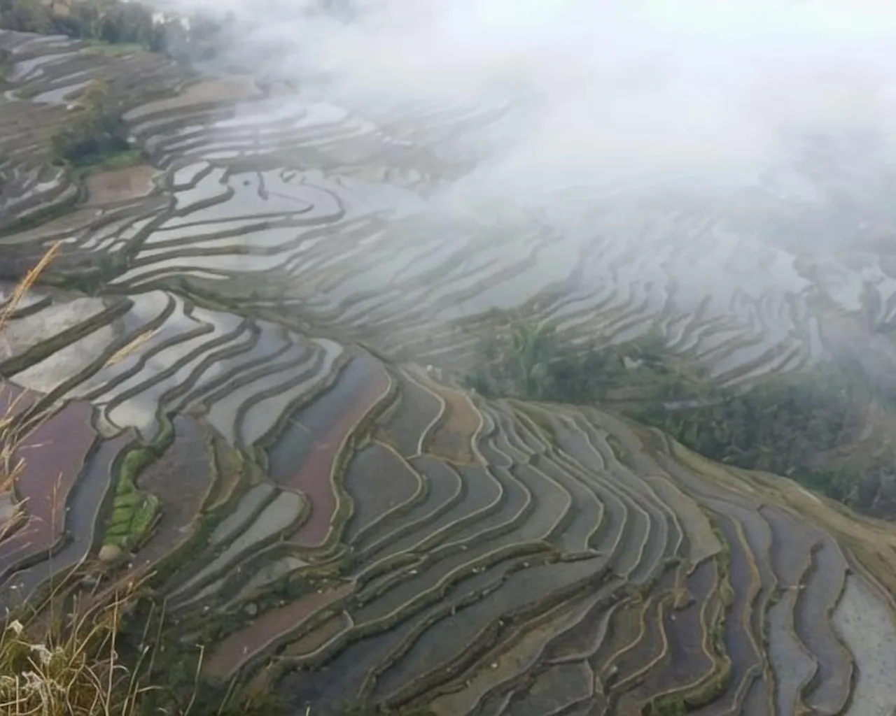 항공 전망