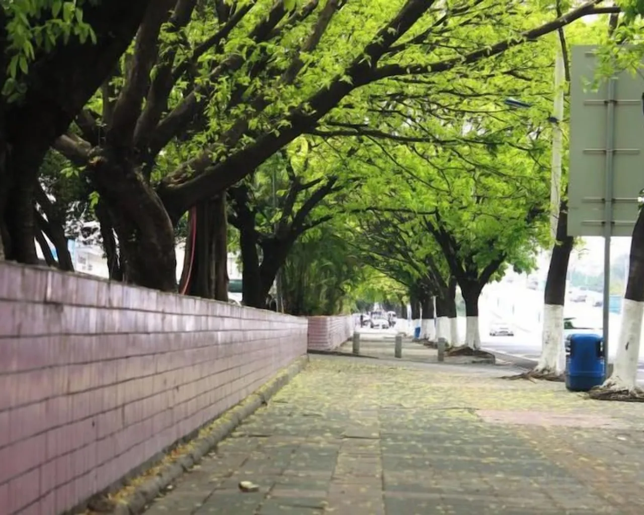 숙소 주변