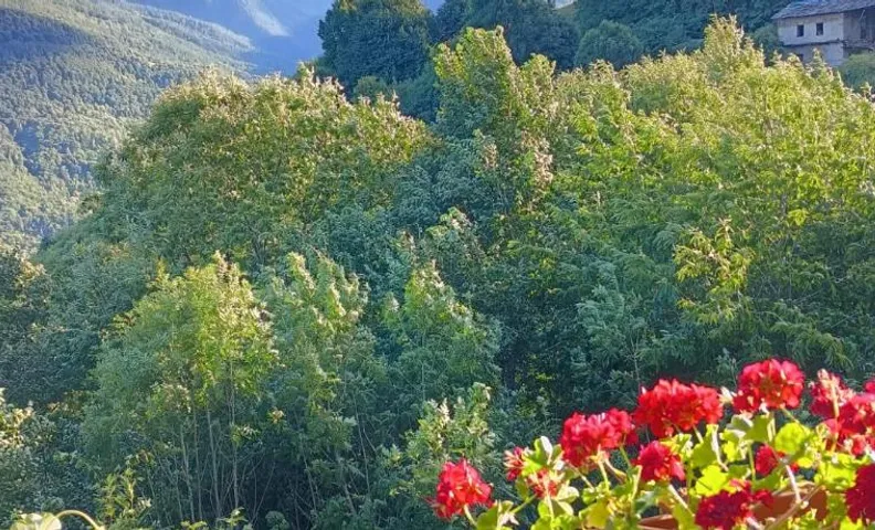 Shangri-La
