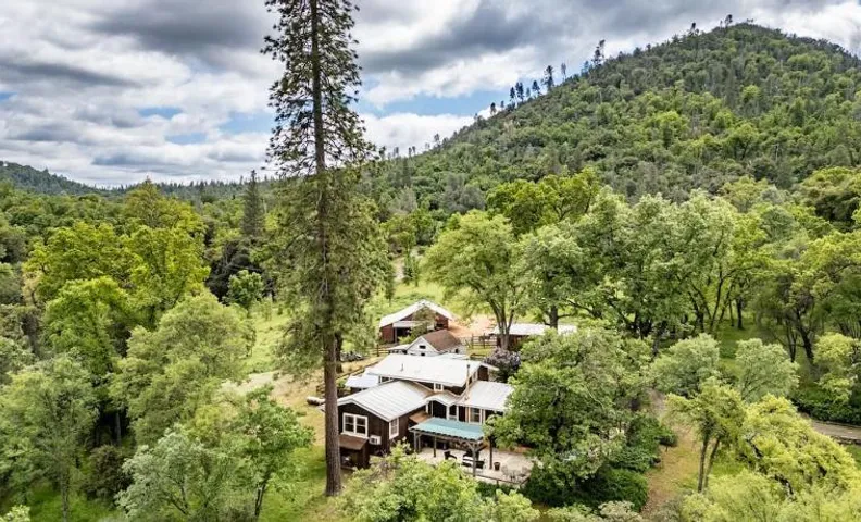 Homestead Ranch near Yosemite with Animals & Fresh Eggs