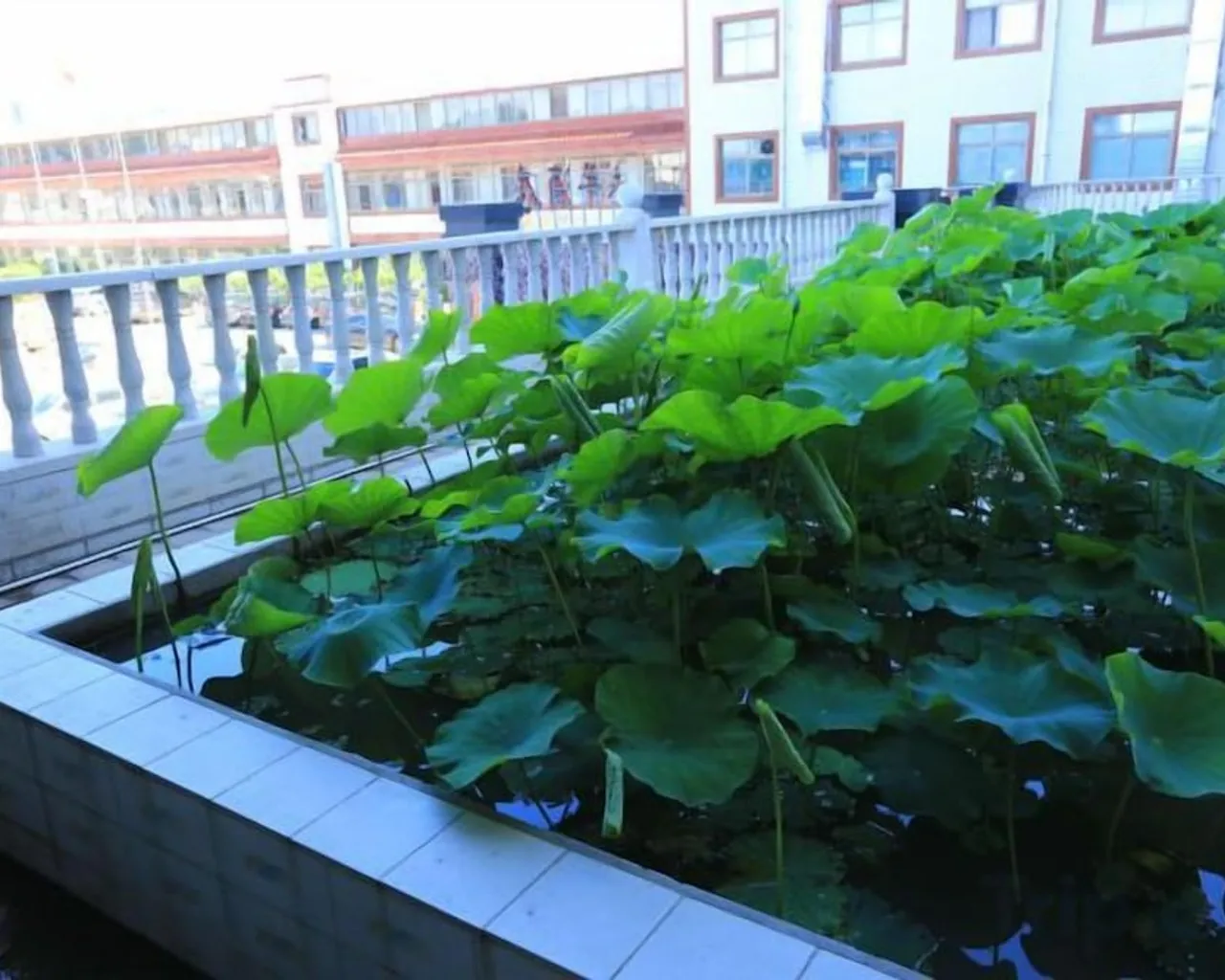 숙소 주변
