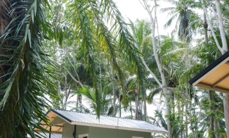 บ้านสวนในป่าสน อำเภอขนอม นครศรีธรรมราช Baan suan nai pa son