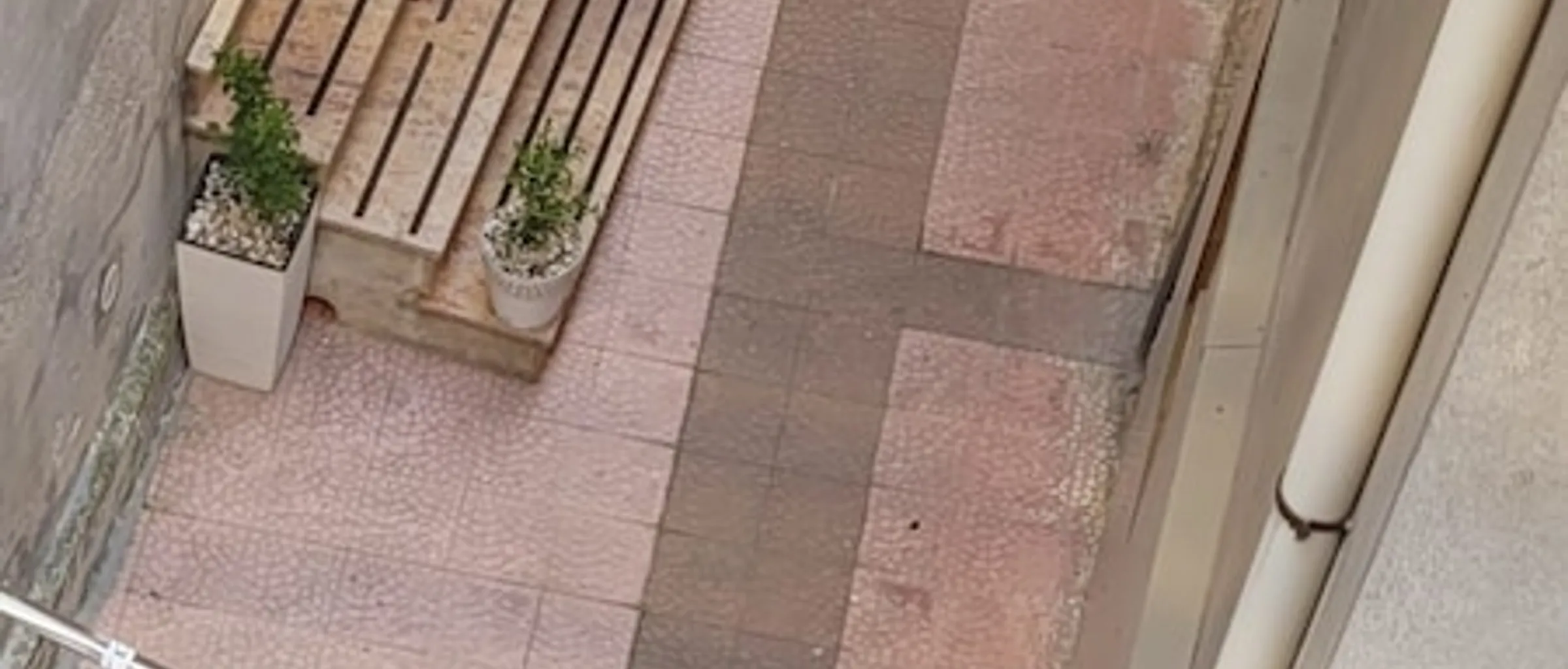 기본 이미지