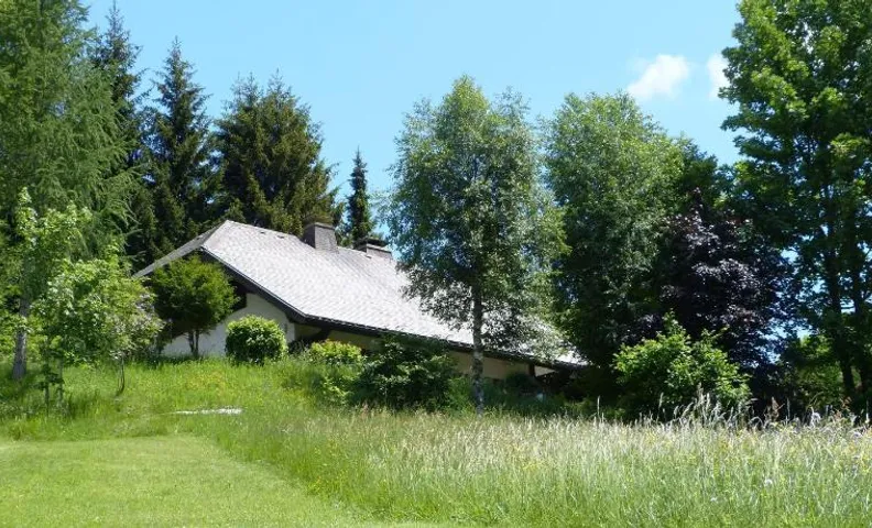 Amadeus Black Forest Mountain