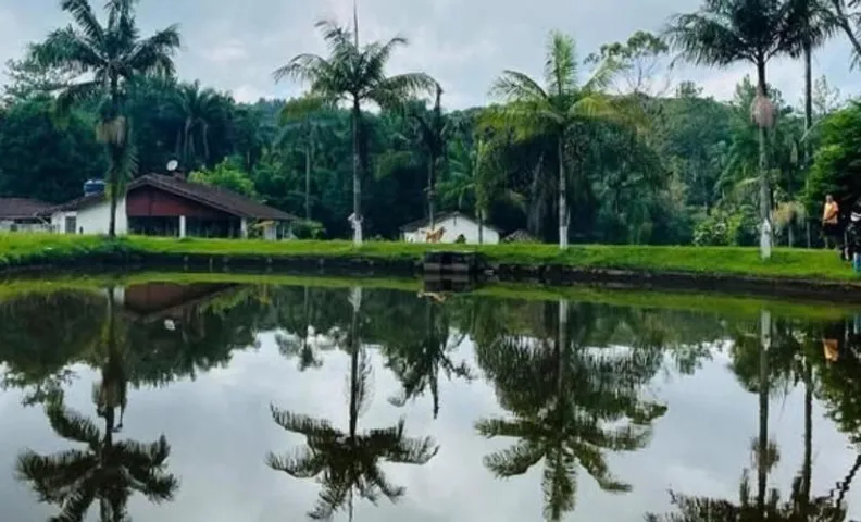 Vila de Casas de Campo Rústica e Aconchegante na Mata Atlântica