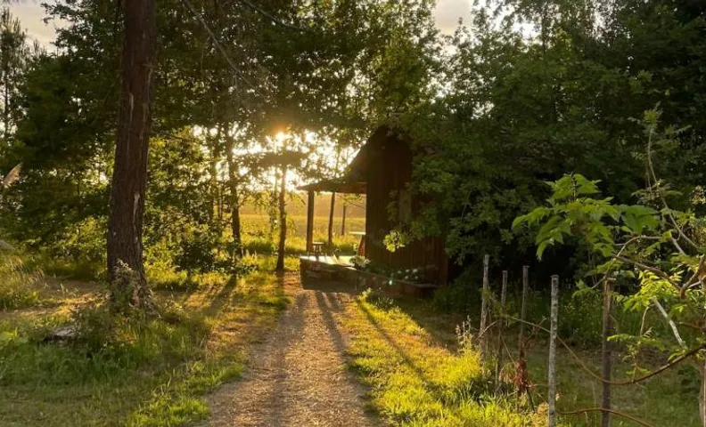 Chalet romantique avec jacuzzi privatif au cœur de la forêt