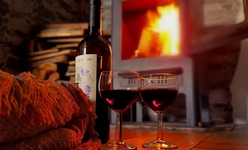 Refugio con chimenea y vistas al Montseny