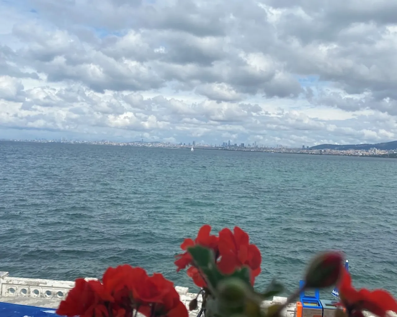 기본 이미지