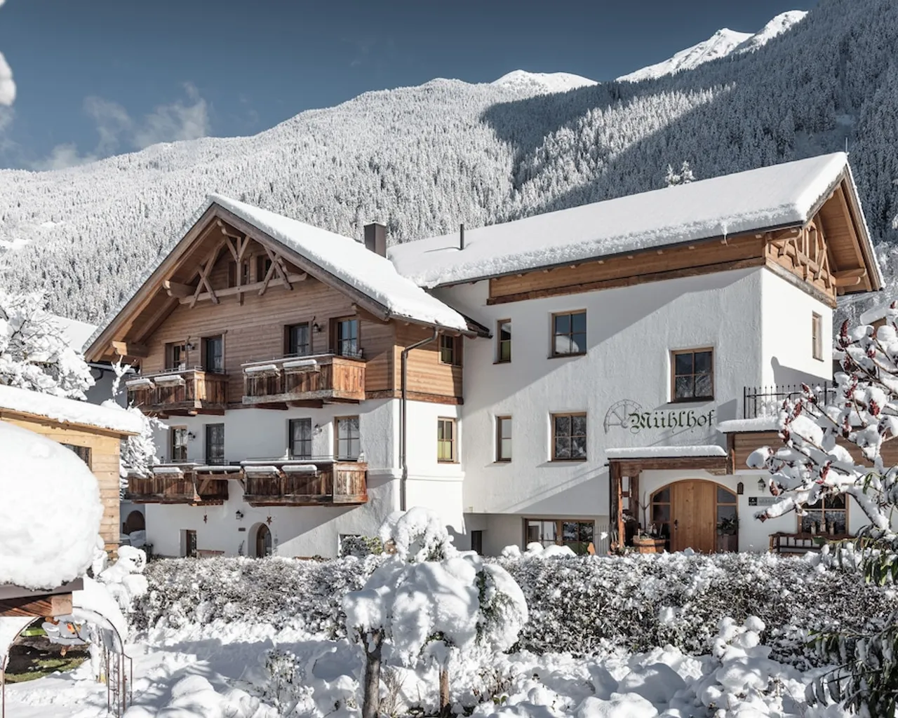 기본 이미지