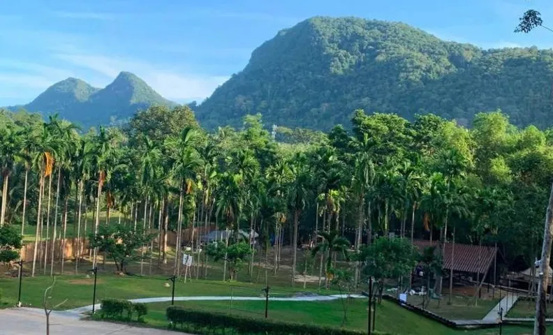 Paiwan Lamtarn Camp Phatthalung ไผ่หวานลำธารแคมป์ พัทลุง