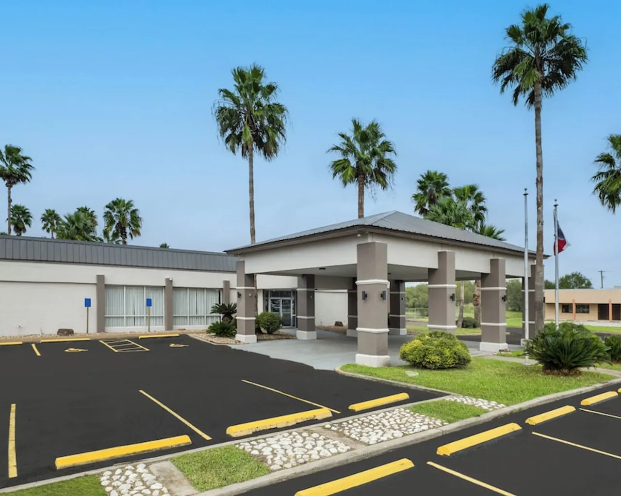 기본 이미지