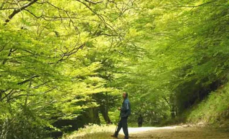 Casa La Roureda -El Boixar, Parc Natural de la Tinença de Benifassà