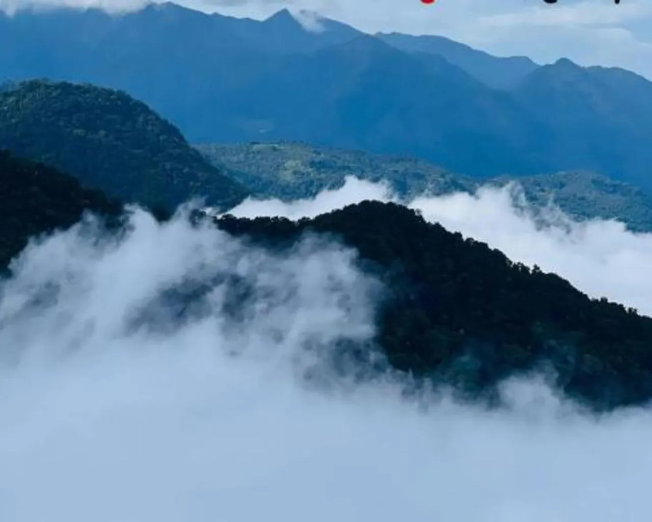 전망