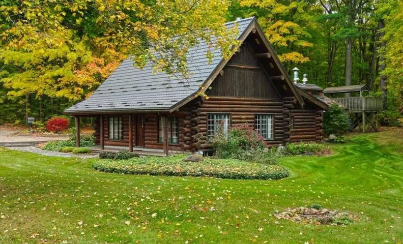 Forest Hideaway
