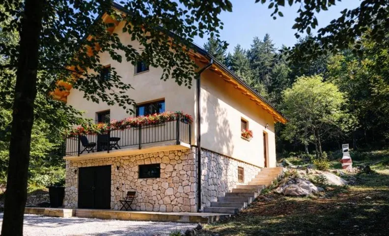 House sid forest
