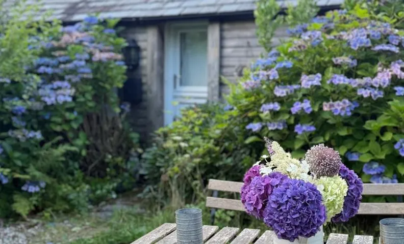 The Country club - Woodland cabin