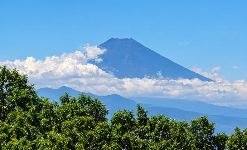 櫟-Kunugi-