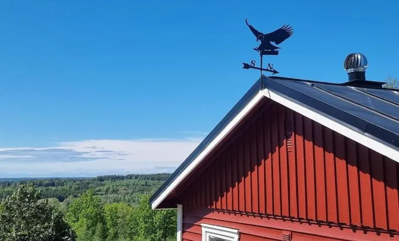 Örnen'