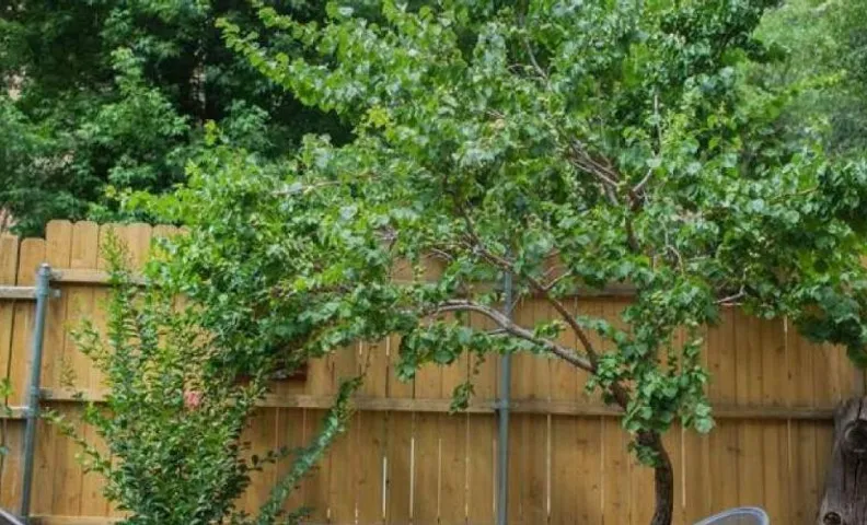 Rustic Cabin for 2 in Oak Creek Cabin - WILD ROSE
